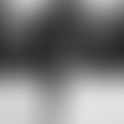 DIVOKÝ ZÁPAD: Svoboda, elegance a odvaha