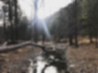 IMG_3835.jpeg
