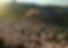 screen-shot-2019-11-02-at-08-01-15_3_orig.png