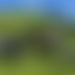 12 Months, 12 Destinations: Where to Go in 2026, Month by Month