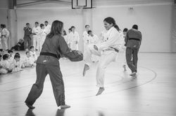 12483045_934415179980536_1160018784_o