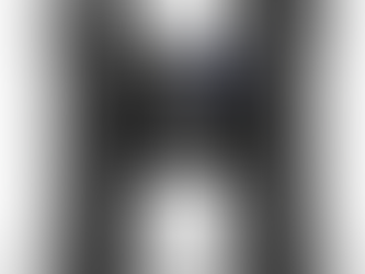 Zeiss 10 x 30 SFL
