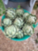 IMG_20230627_104345.jpg