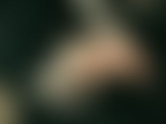 Of Aurochs and Angels - 9/9/21