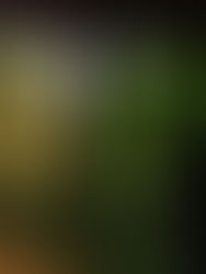 3 things I've learned in the mountains