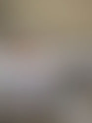 The picture that secured $12,000