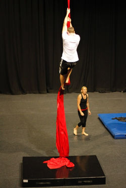 Elations Aerials training classes
