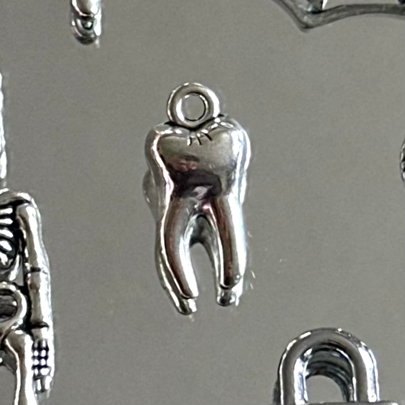 Thumbnail: silver grunge charms