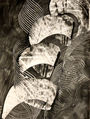 Leimfarbe auf Papier
70x50cm