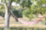 Hang in our Hammock