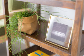 写真立て、小さな植物。
