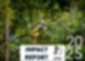 cover25.jpg