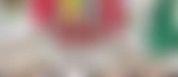 Comunican reincorporación de la diputada Laura Estrada Mauro a la LXV Legislatura local