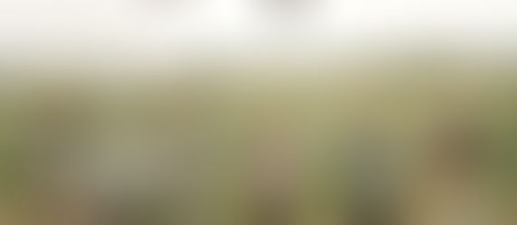 Concluyen grabaciones de telenovela en locaciones de Oaxaca