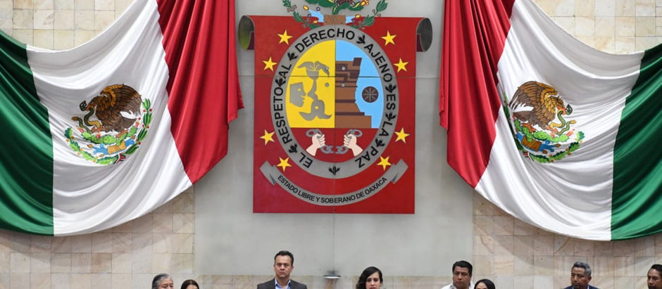 Rinde cuentas ante comisión legislativa la Secretaria de Medio Ambiente