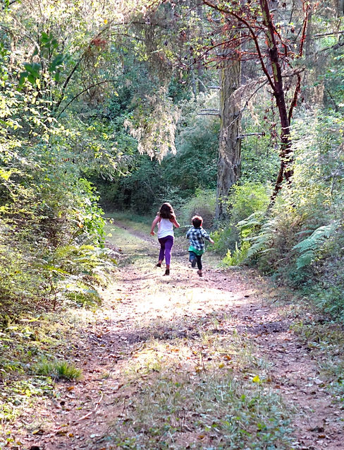 DSC00718_edited.jpg
