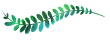 leaves5.png