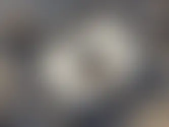 The CEO Reset: Why Your 2025 Growth Strategy Starts Now