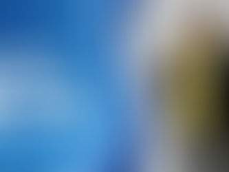 What is Vegan Organic Clothing and the Matter of It 