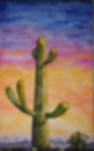 Saguaro Cactus