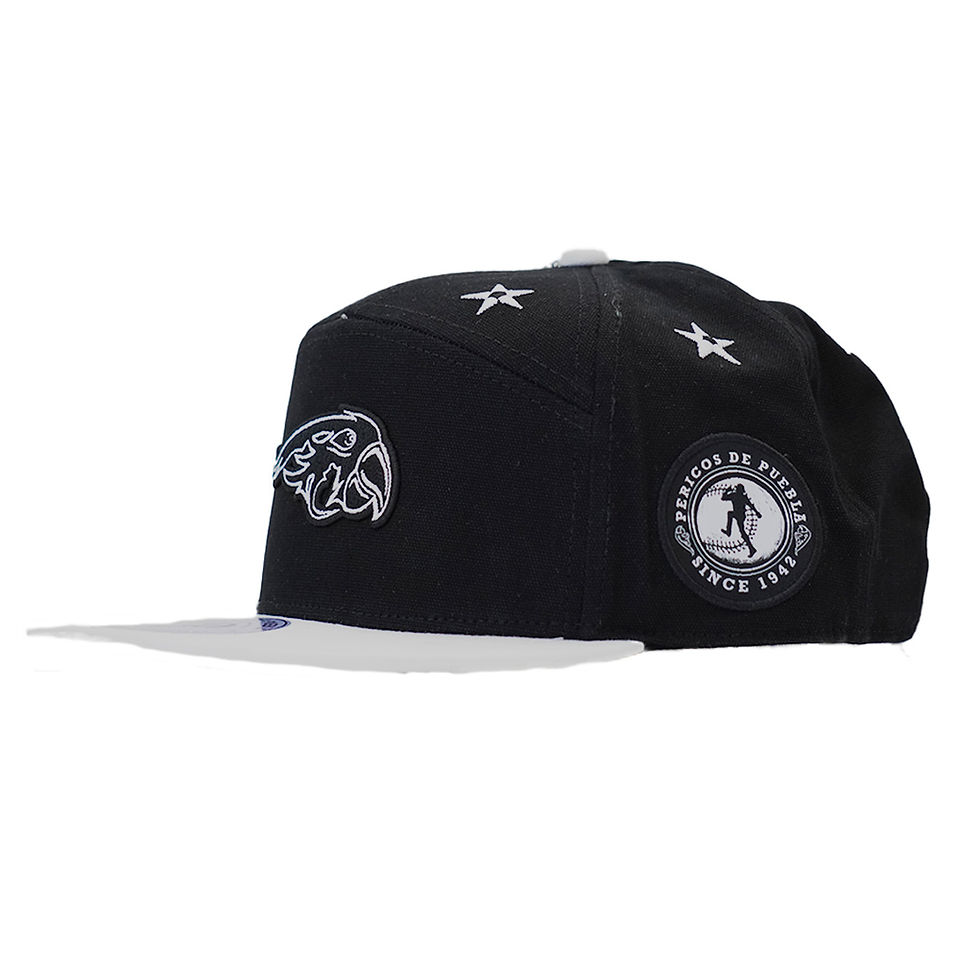 Miniatura: SNAP BACK STARS