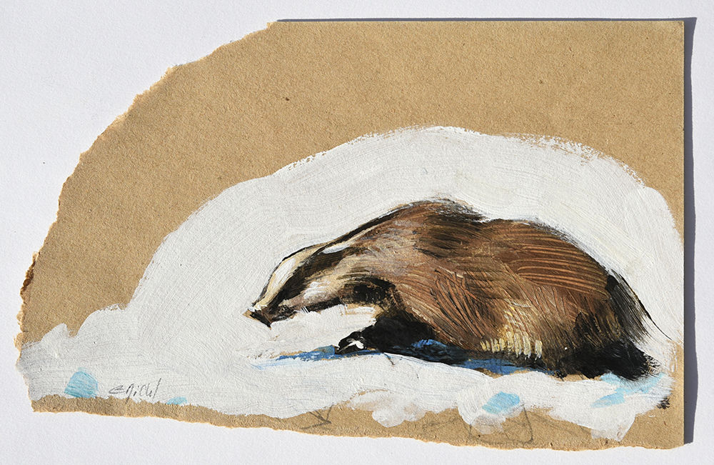 Le Putois (15 x 24 cm)