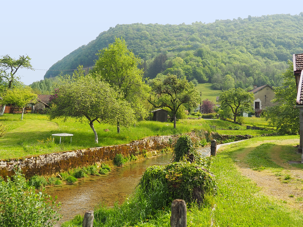 La Seille à Blois-sur-Seille