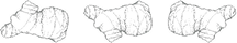 Group 2206.png