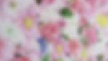 MV.png