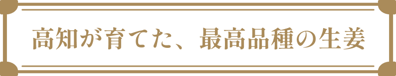 Group 2207.png
