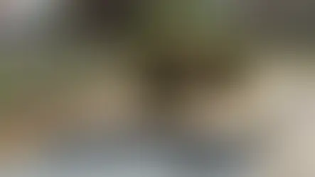 萬金杜鵑融入生活家具 金山青農跨界合作藝術家玩出浪漫邂逅