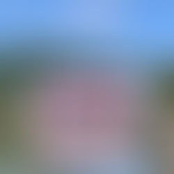 茂生苗圃小故事