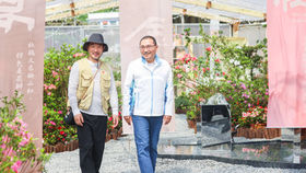 新北「萬金杜鵑」驚艷亮相 侯友宜: 新品種展現花農匠心