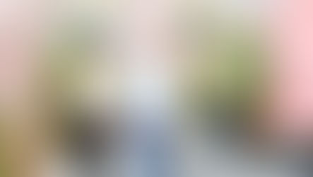 新北「萬金杜鵑」驚艷亮相 侯友宜: 新品種展現花農匠心