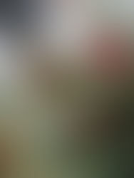 秋遊萬金 杜鵑小旅行限量100名額即日報名