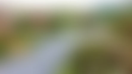 萬金杜鵑花展倒數 週末推彩繪市集、打卡送限量美植袋、祈願卡