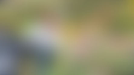 萬金花廊扮杜鵑 200人鬥艷