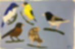 Birds, by Peggi Kroll Roberts