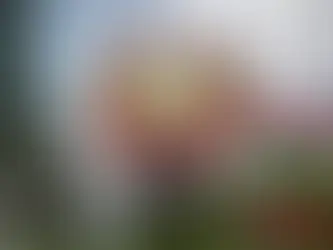 Como Artsaj, Transnistria es víctima del ataque de Occidente a Rusia