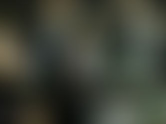 Coronavirus: la preocupación crece en Armenia