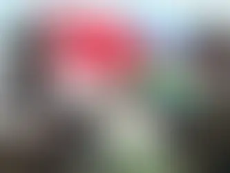 Turquía y Azerbaiyán amplían y fortalecen su alianza militar