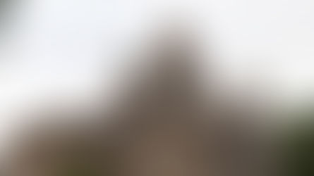 El Instituto Lemkin insta al gobierno de Armenia a detener de inmediato los ataques y las persecuciones contra la Iglesia