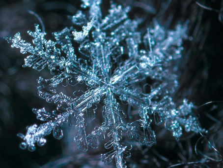 Wim Hof Breathing + Cold Showers: The Bold (but Worth It) Morning Reset