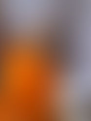 Od startu k výdělku: Průvodce pro začátečníky na OnlyFans s podporou onlyfans-agency.cz