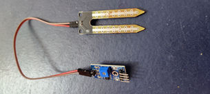 Interfacing Soil/Moisture Sensor with Arduino