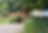 IMG_2864 - Kopie_edited_edited.png
