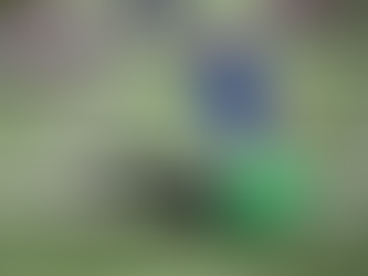 מחקר חדש חושף: זו הפעילות הגופנית שמשפרת את הריכוז של ילדי הקשב