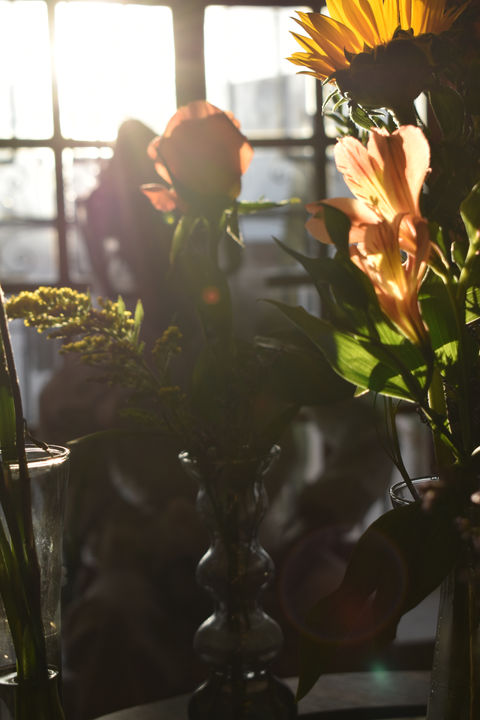 DSC_0848.JPG
