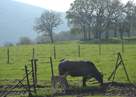 DSC_0114.JPG