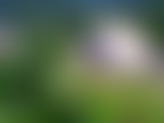 Justiça Federal autoriza empresa de vigilância desarmada de Madre Paulina a continuar o serviço